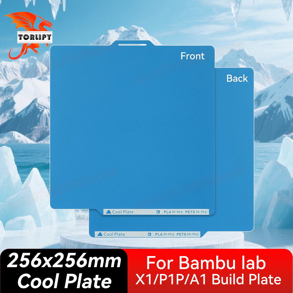 Placa Fría para Bambu Lab X1/P - 3D Printer Bed Spring reseña y precio