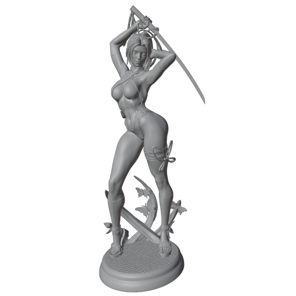 1/24 Mujer 	 Kits de modelos d - 3D Printing Apps reseña y precio
