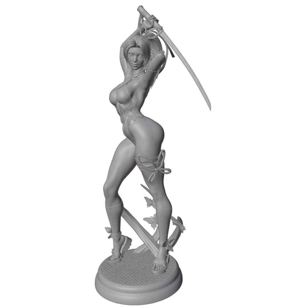 1/24 Mujer 	 Kits de modelos d - 3D Printing Apps reseña y precio